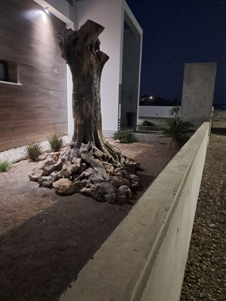 Landscaping Services Cyprus | Garden Design Landscape Company 14 Landscaping Services Cyprus 14